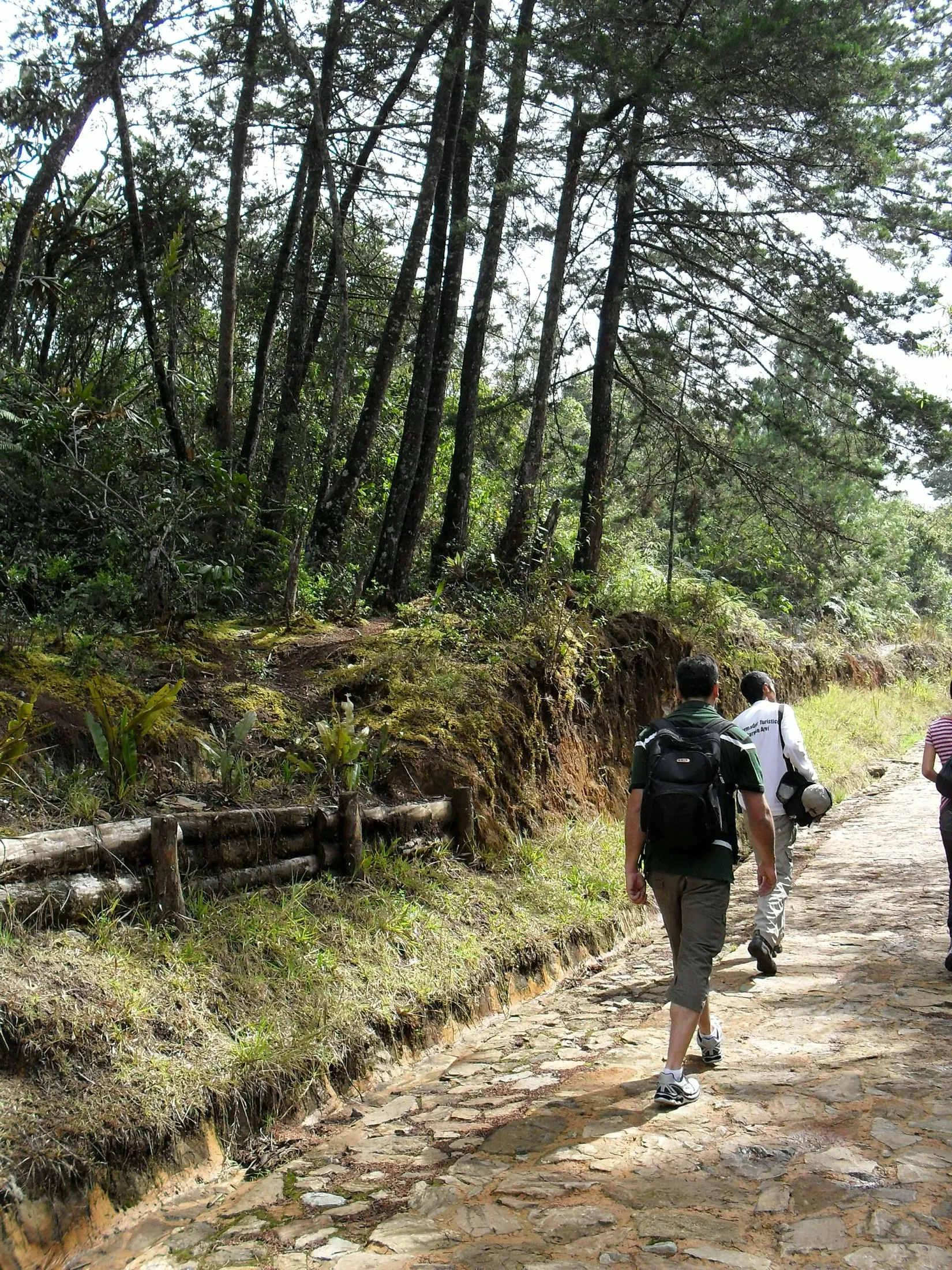 Parque Arví in Medellín: How to Get There by Cable Car & What to Do
